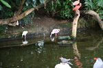 DSC_9179.JPG